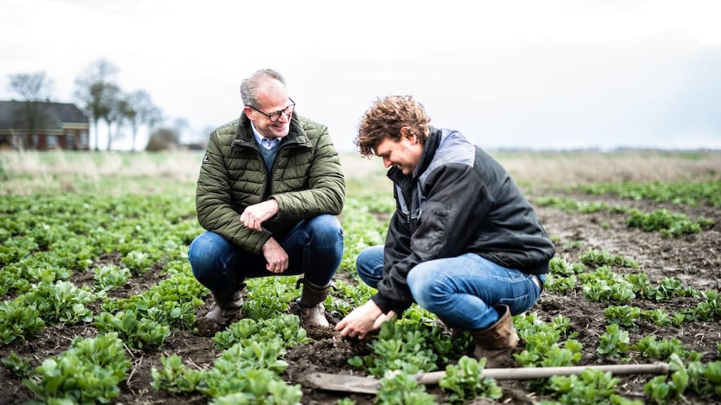 De voordelen van een gezonde bodem