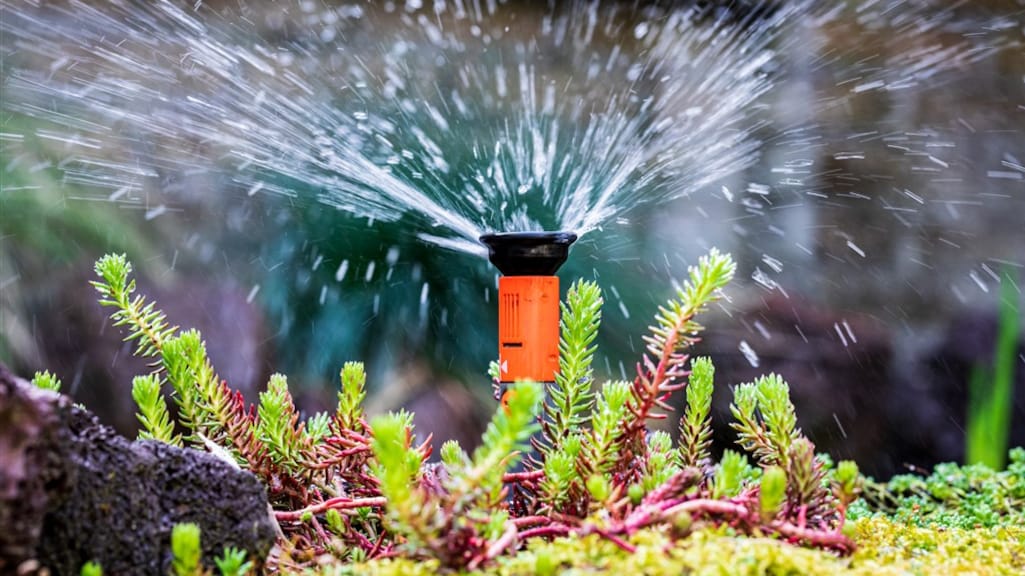 Zelf water oppompen populair door droogte, maar zo verstandig is dat niet