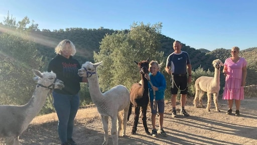 Het Roer Om-stel met alpacaboerderij blikt jaar later terug