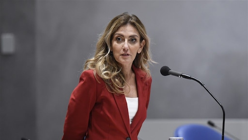 Experts zien niets in verbod kindersekspop: 'Voorkomt geen kindermisbruik'