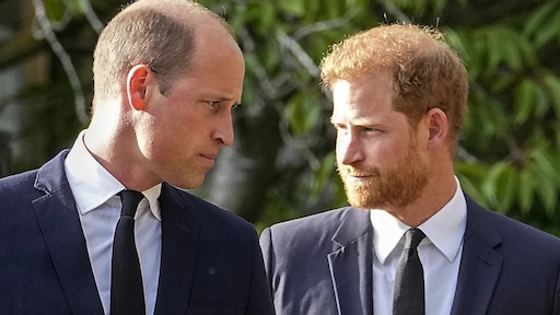 Broers William en Harry samen achter kist koningin Elizabeth