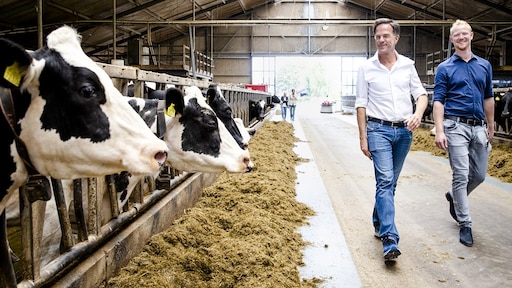 Kritisch rapport: boeren massaal uitkopen 'onrealistisch'