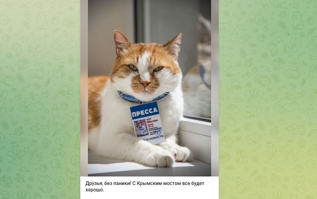 De kat Mostik (bruggetje) is sinds 2018 de mascotte van de Krimbrug.