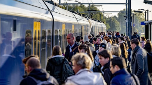 Dinsdag en donderdag thuiswerken tegen spits? 'Vergader op een andere dag'