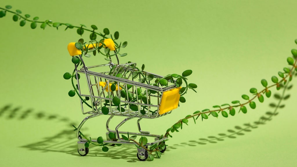 Anderhalf jaar niets kopen? 'Genoeg geld gespaard om ogen te laseren'