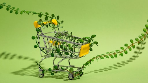 Anderhalf jaar niets kopen? 'Genoeg geld gespaard om ogen te laseren'