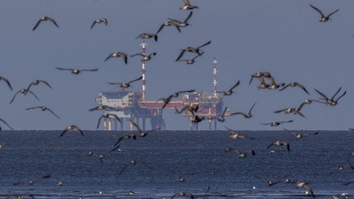 Tweede Kamer wil snel meer gas winnen in Noordzee