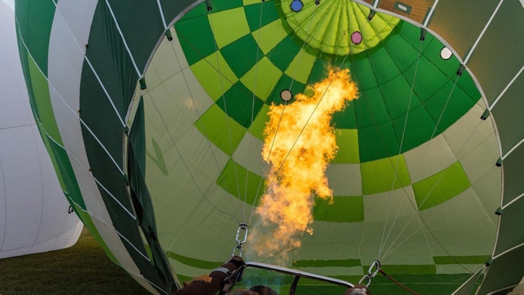 Ballonvaarder moet dokken voor doodgeschrokken papegaaien: 55.000 euro