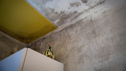 Minder stoken en ventileren, meer schimmel in huis: dit moet je weten