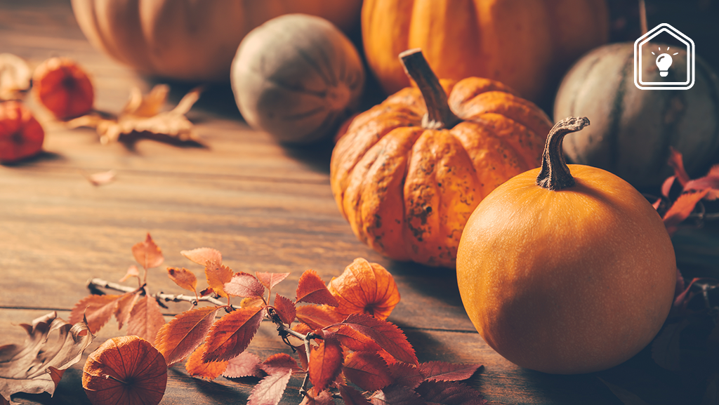 Zo weet je welke pompoensoort je voor welk gerecht kunt gebruiken (en of 'ie rijp is)