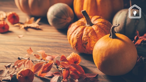 Zo weet je welke pompoensoort je voor welk gerecht kunt gebruiken (en of 'ie rijp is)