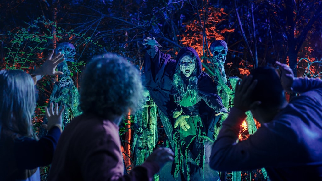 Halloween, hallo verdienmodel: 'Feestdag vergelijkbaar met Pasen'