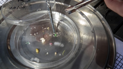 Autobanden grootste bron van microplastics, en die komen in het lichaam terecht