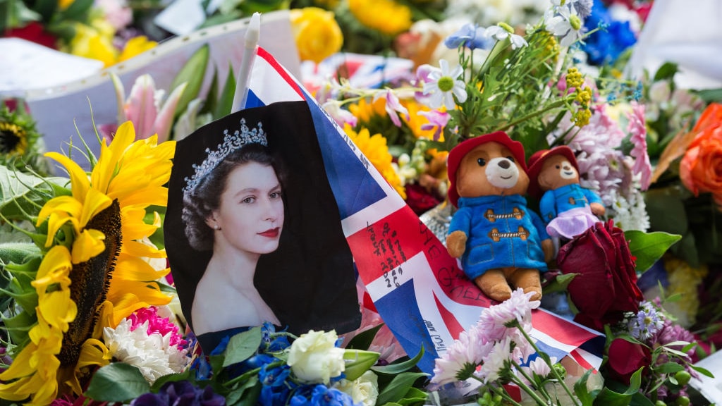 Aandoenlijk: Paddington-beertjes Elizabeth krijgen nieuw huis