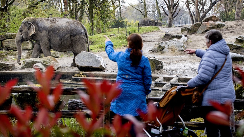 'Gewone' kroket in Blijdorp al drie jaar vega: 'Klanten kunnen het niet geloven'