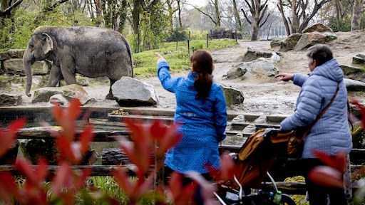 'Gewone' kroket in Blijdorp al drie jaar vega: 'Klanten kunnen het niet geloven'