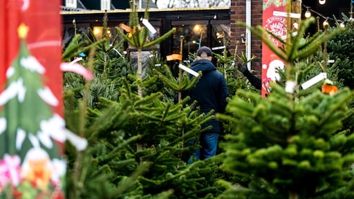 Een echte boom of een kunstboom? 'Je belast hoe dan ook het milieu'