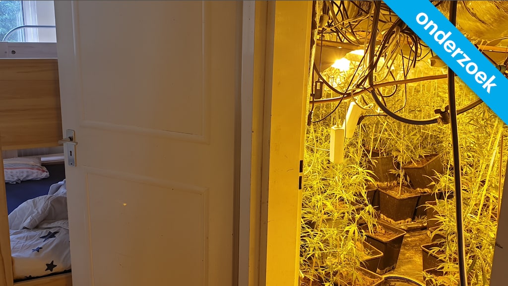 Duizenden woningen met verhoogde kans op wietplantage, meeste in Heerlen