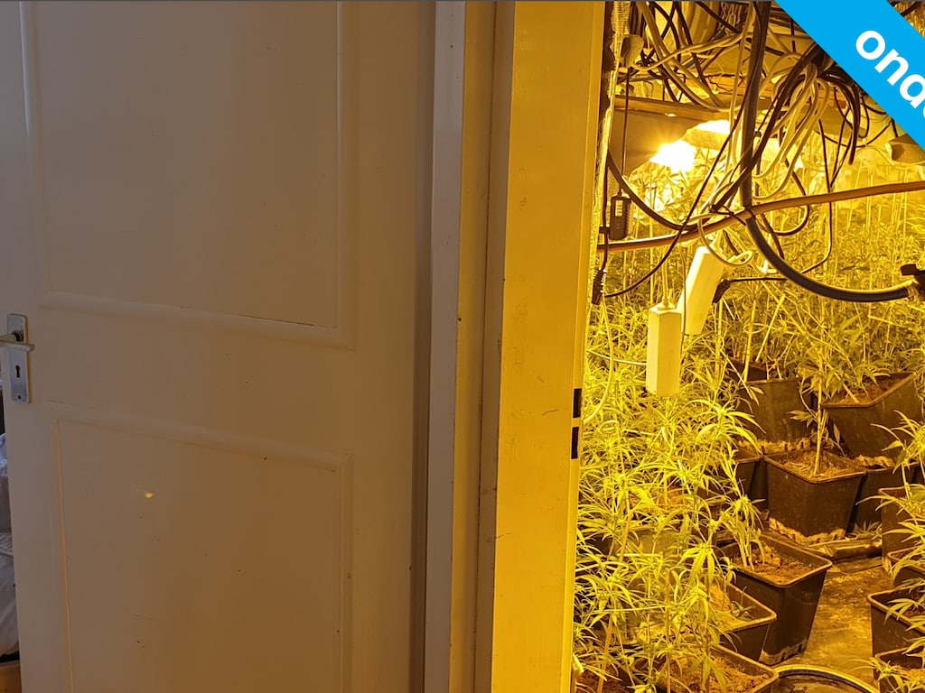 Grootste kans op wietplantage in Heerlense woningen