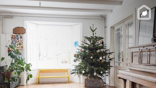 5 manieren om dit jaar een duurzamere kerstboom in huis te halen