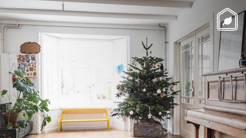 5 manieren om dit jaar een duurzamere kerstboom in huis te halen