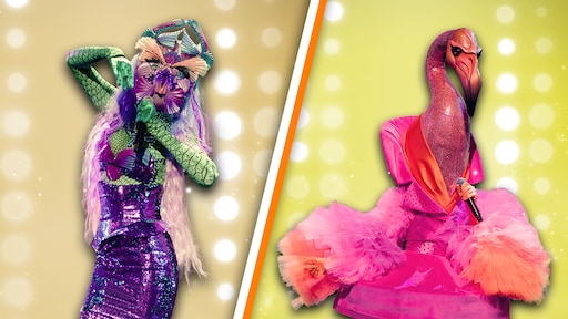 Deze BN'er onthult zich in The Masked Singer: 'Echt jammer'