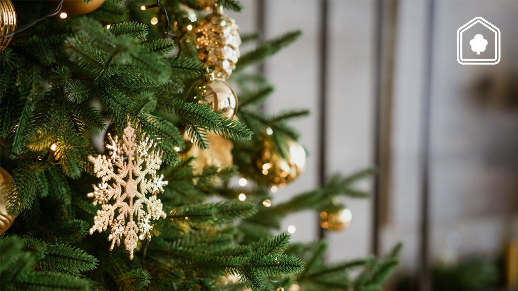 Zonde om elk jaar een nieuwe kerstboom te kopen? Recycle dan een kerstboom