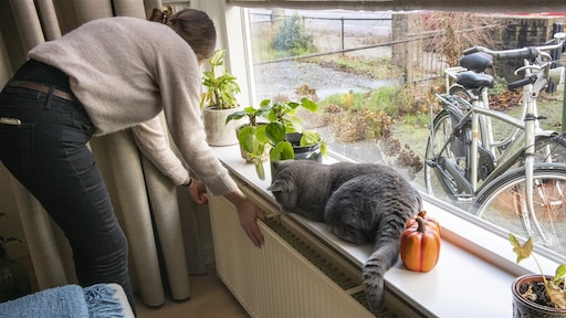 Blijf jij onder het prijsplafond voor energie? Zoek het hier op