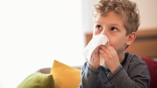 Ouderwets snotterige dagen voor kerst: RS-virus, griep én corona gaan rond