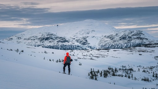 Op zoek naar sneeuwzekerheid? 'Ga op wintersport in Scandinavië'