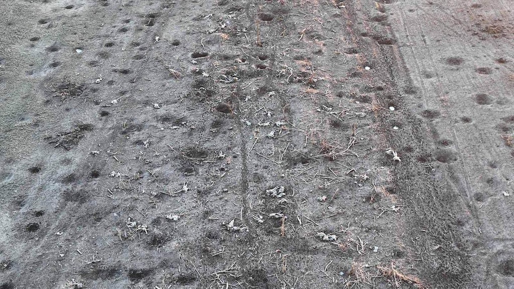 De hel van Bachmoet in één beeld: 'Zinloos en tragisch'