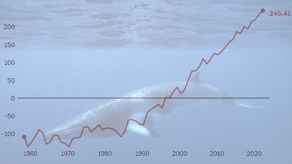 Warmte in de bovenste 2000 meter van de oceaan in zettajoule (10²¹ joule), ten opzichte van het gemiddelde van 1981-2010.