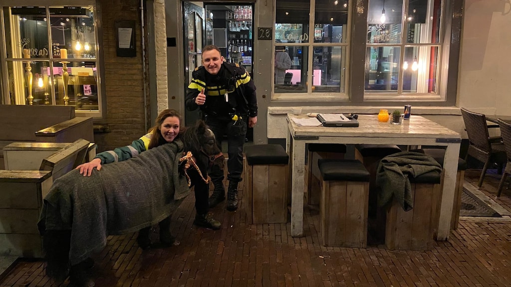 Mannen laten pony achter op terras Den Bosch
