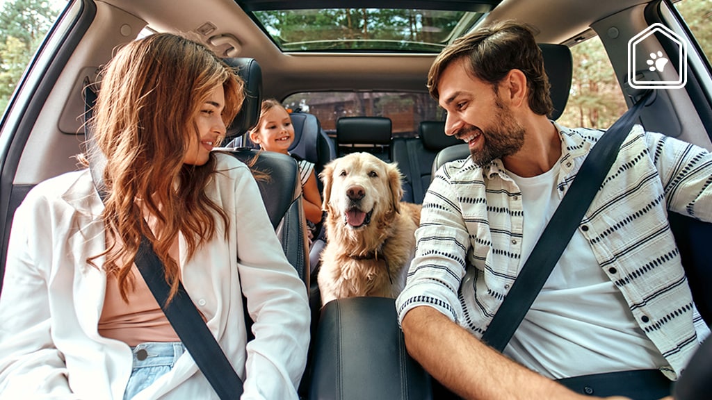 4 mooie vakantiebestemmingen in Nederland voor jou en je hond