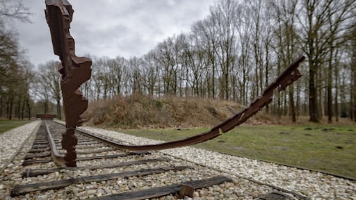 Jongvolwassenen zouden twijfelen aan Holocaust, veel vragen over onderzoek