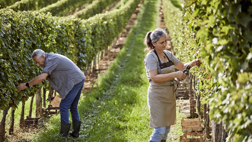 Beeld ter illustratie.