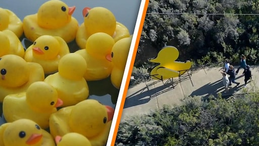 Rik vertelt: verwijst de badeendjes-opdracht in WIDM naar de Mol?