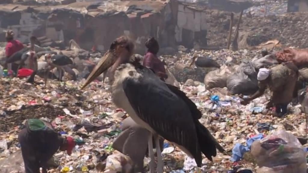 Onze afgedankte kleding verpest in Kenia het milieu