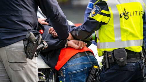 'Politiegeweld vaakst tegen mannen van kleur en uitgaanspubliek'