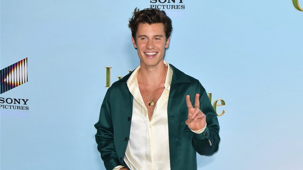 Shawn Mendes voelt zich tegenwoordig beter door therapie