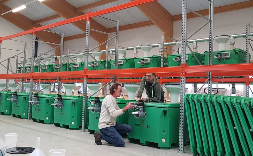 Koos van Hamersveld bij de kweekcontainers.