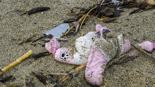 Migranten nemen gedwongen levensgevaarlijke routes over zee: 'Wreed en inhumaan'