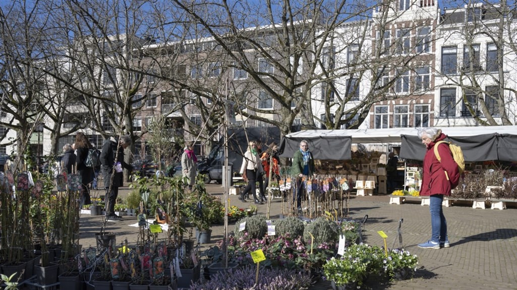 Centraal Planbureau: in 2024 meer mensen onder armoedegrens