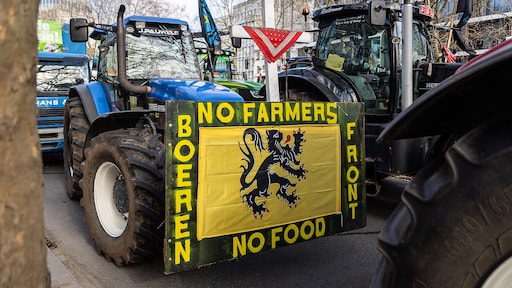 Ook België stikt in de stikstof: regeringscrisis dreigt in Vlaanderen