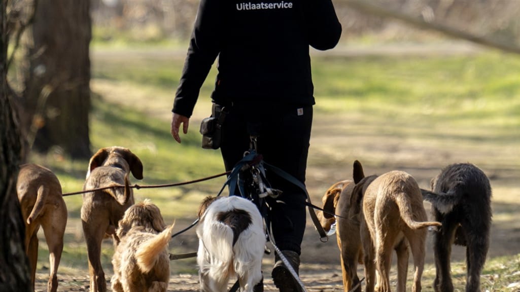 Man verliest goedbetaalde baan door gesjoemel met uitlaatservice