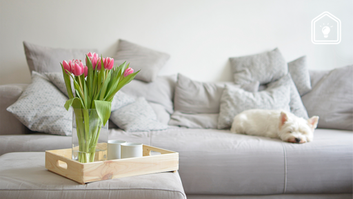 Tulpenwater verversen? Gooi het ‘oude’ water nooit weg!