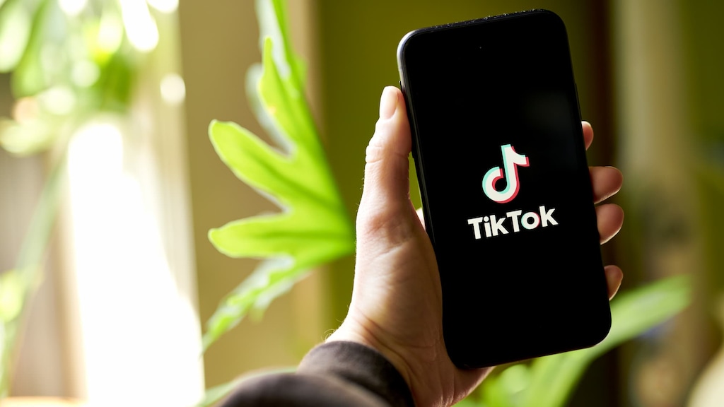 TikTok maakt shoppen in app mogelijk met webshop in de VS