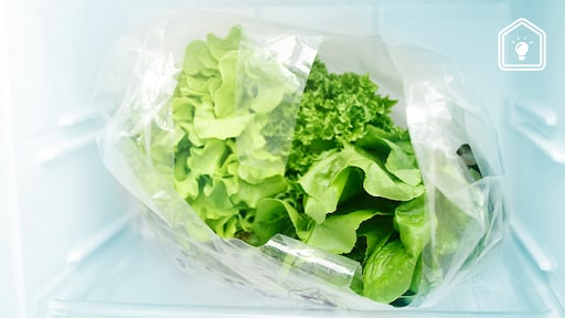 Zo bewaar je sla en bladgroenten het best én blijft het langer houdbaar