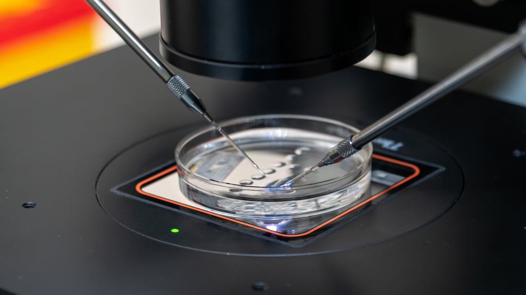 Waarom er een maximum zit aan het aantal nakomelingen per spermadonor