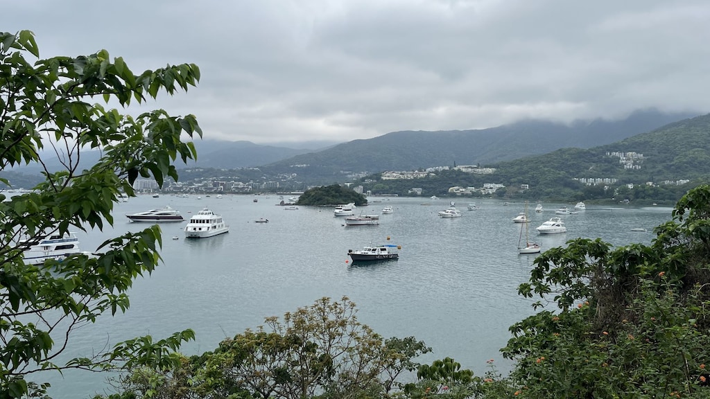 Schiereiland Sai Kung, waar Dricus woont.